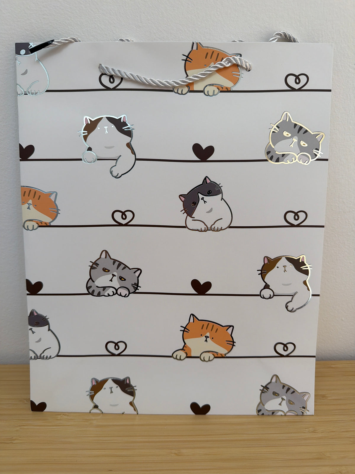 Bolsa regalo gatitos